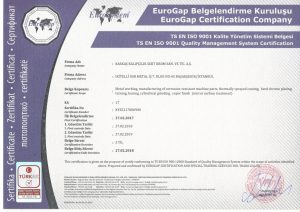 ISO 9001 Kalite Yönetim Sistemi Belgesi - İngilizce
